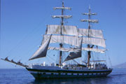 Stavros S Niarchos