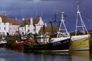Pittenweem Harbour