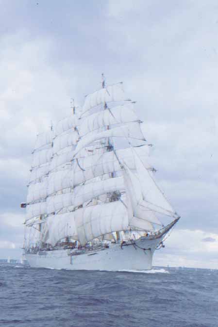 Sedov